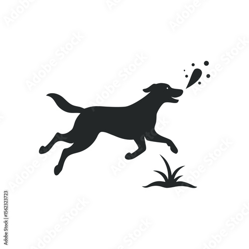 Dog Fetching Stick By Lake Silhouette