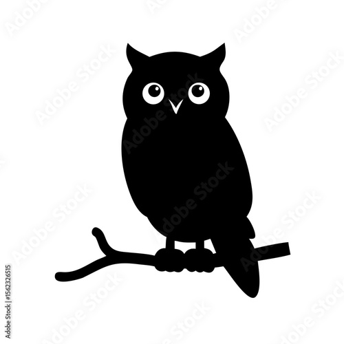 owl sitting on a branch