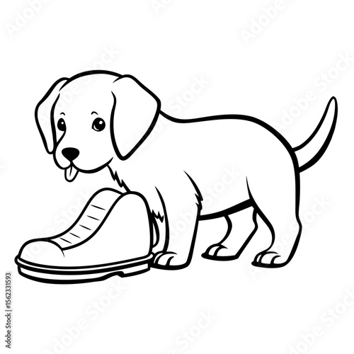 Puppy chewing on a slipper while standing on carpet floor  