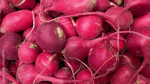buying radish at the market