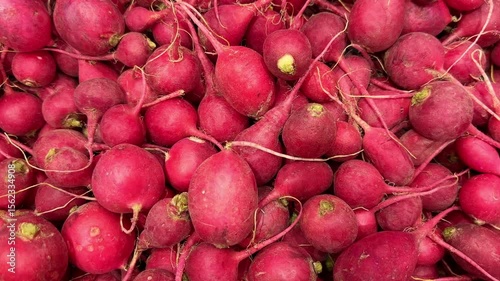 buying radish at the market
