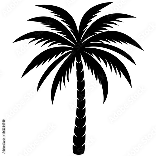 silhouette of palm trees