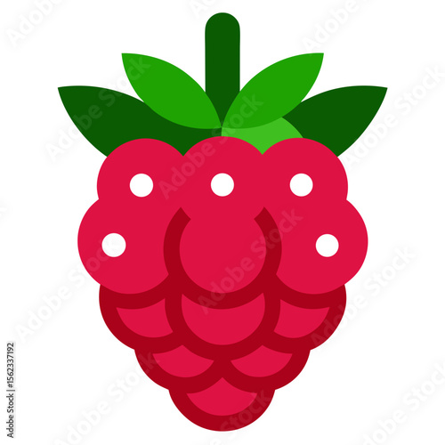 ripe raspberry isolated on white