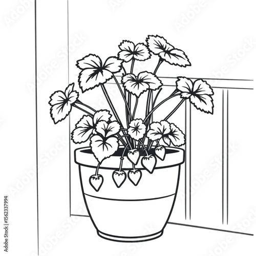A potted strawberry plant on a balcony