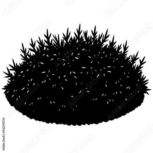 black and white background
