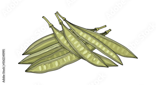 Fresh and delicious green beans stacked and ready to cook