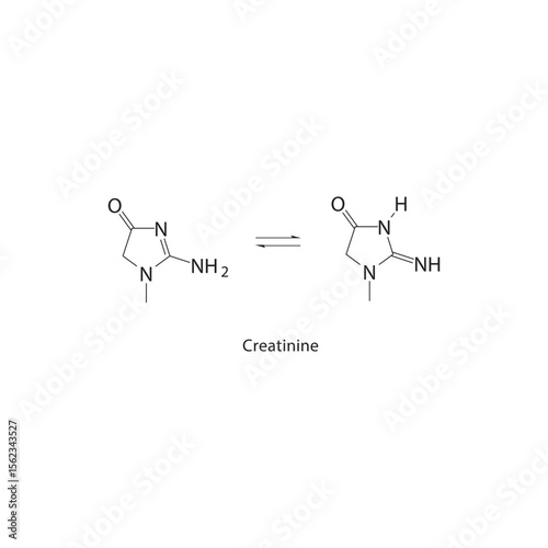 Creatinine skeletal structure. Metabolic waste product compound schematic illustration. Simple diagram, chemical formula.