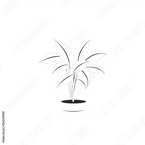 A potted sage plant on a windowsill