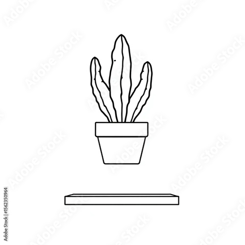 A potted cactus on a study shelf