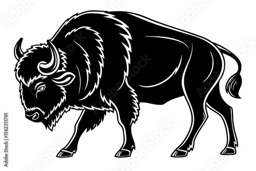 buffalo sihouette black vector