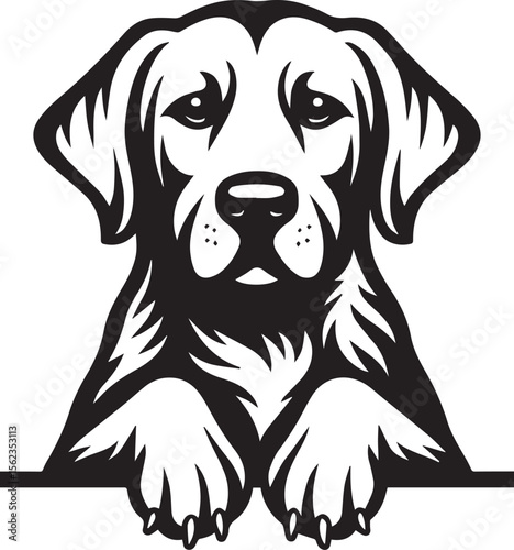 Sad Dog.Vector EPS Design