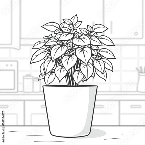 A potted basil plant on a kitchen counter