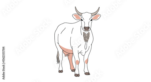 A cute white cow enjoying a beautiful sunny day