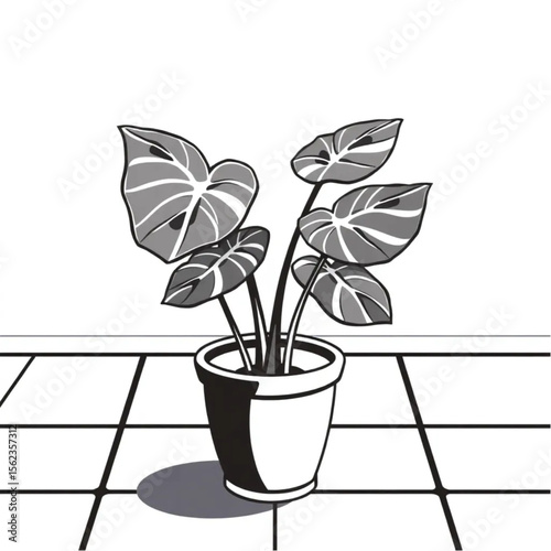 A potted monstera on a tiled floor