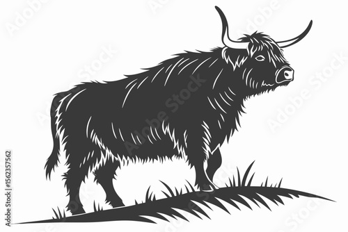 highland cow sihouette black vector