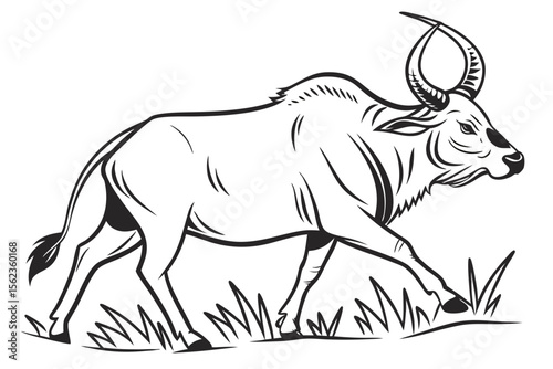 zebu silhoette black vector