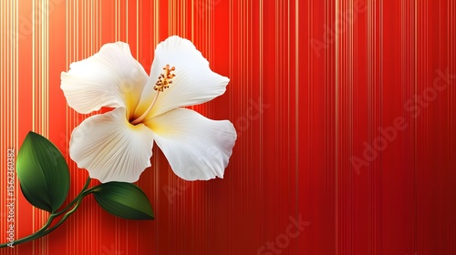 Photograph of white hibiscus flower against a vibrant red vertical striped background.