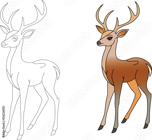 vector deer
