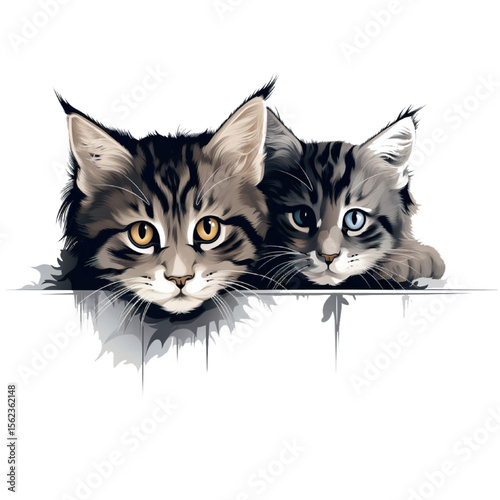 A cute, curious kitten with black and white fur watches a mouse