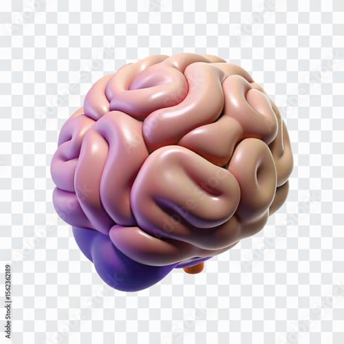 3D Brain Icon | Human Mind Organ, Intelligence and Science Symbol