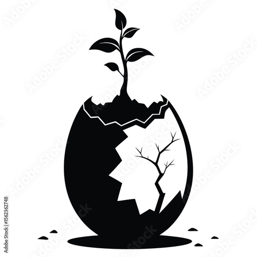 New Life Emerging A Plant Sprouting from a Broken Eggshell