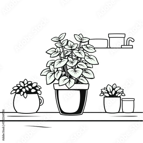 A potted mint plant on a kitchen shelf