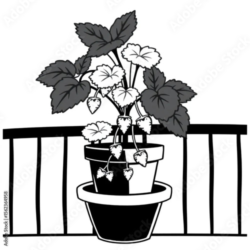 A potted strawberry plant on a balcony