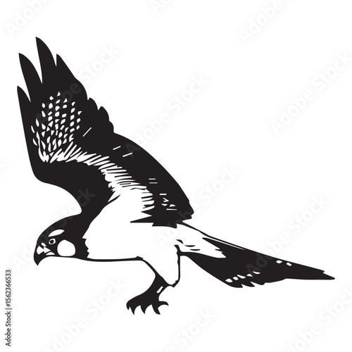 Stylized black and white illustration of a falcon in flight with wings spread