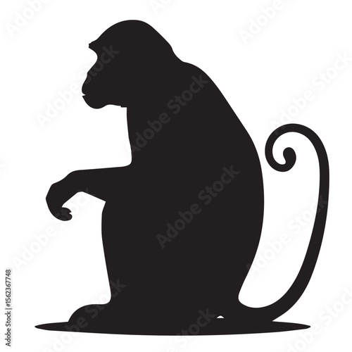 Silhouette of a monkey sitting with a curled tail against a white background