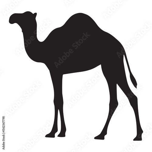 Black silhouette of a dromedary camel standing against a white background