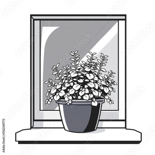 A potted oregano plant on a window ledge