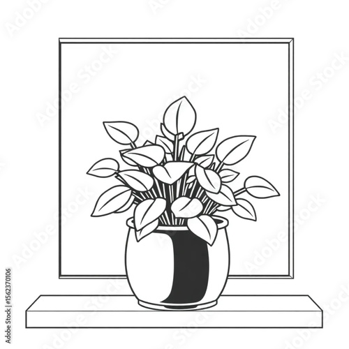 A potted sage plant on a kitchen windowsill
