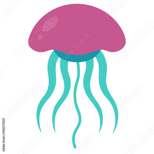 -jellyfish-illustration-on-white-background