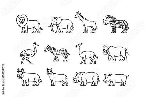 Lion elephant giraffe zebra ostrich spotted horse llama rhinoceros hippopotamus warthog