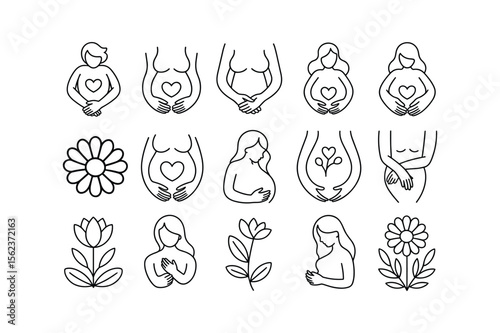 Pregnant women and floral illustrations pregnancy belly