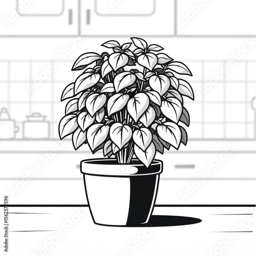 A potted basil plant on a kitchen counter