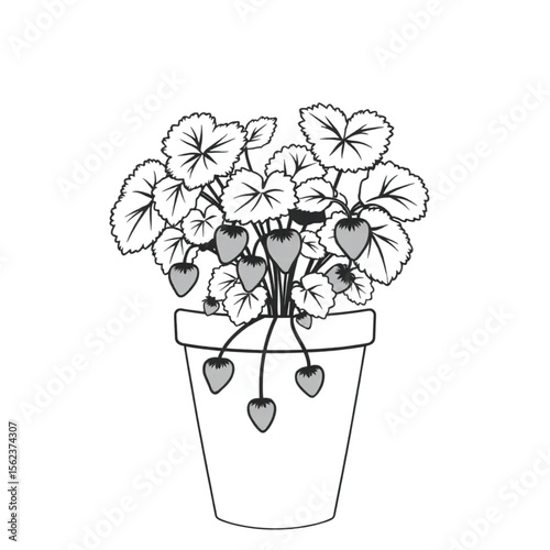A potted strawberry plant on a balcony