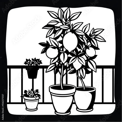 A potted lemon tree on a terrace