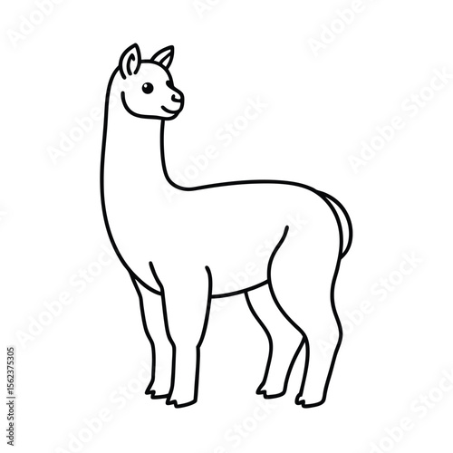 vector illustration of a alpaca animal