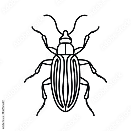 bark beetle insect vector illustration