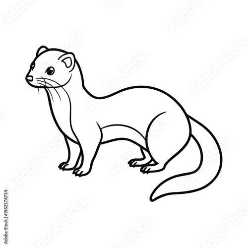 vector illustration of a ferret animal