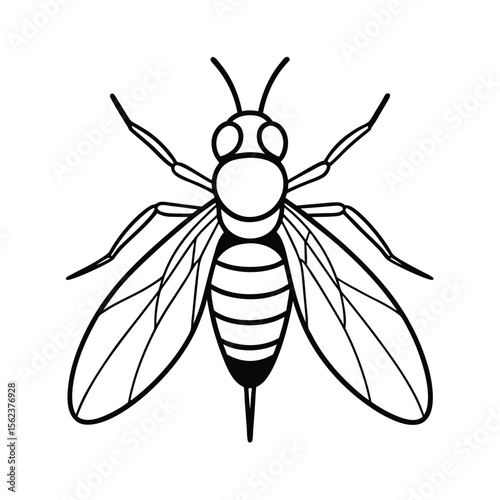 fly line vector illustration