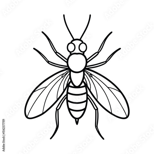 gall gnat insect line vector