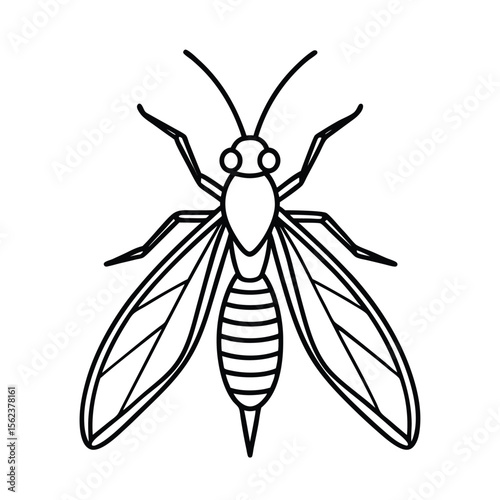 Manti fly line vector illustration