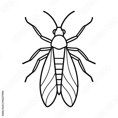 planthopper nymph line vector illustration