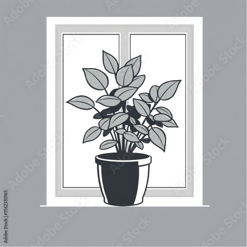 A potted sage plant on a kitchen windowsill