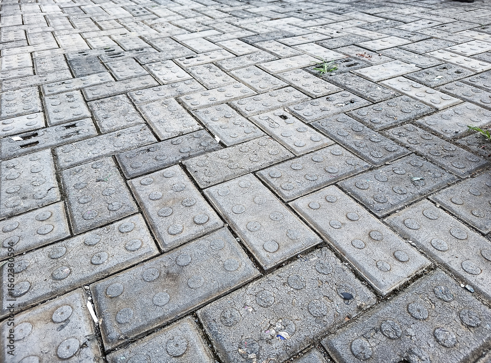 Fototapeta premium The environmentally friendly pathway made from recycled plastic paving blocks, colored gray and patterned, features a unique interlocking design for maximum 3D and rendering software purposes.