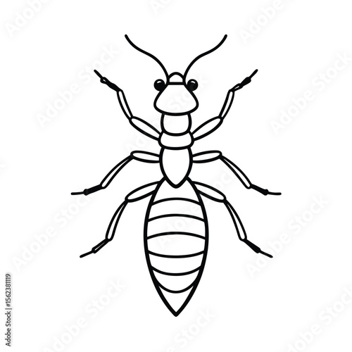 termite insect line vector illustration