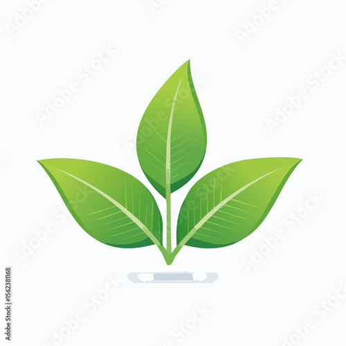 Icône feuilles de thé 