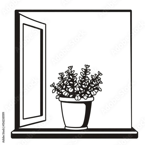 A potted thyme plant on a windowsill